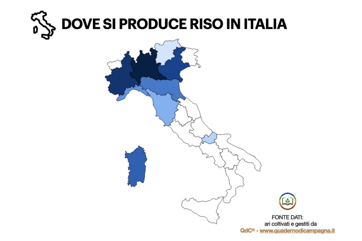 Dove si produce riso in Italia - Elaborazione statistica basata su dati di QdC® - Quaderno di Campagna®
