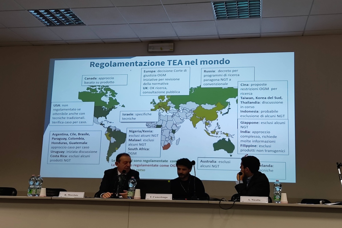 Una panoramica globale della regolamentazione delle Tea