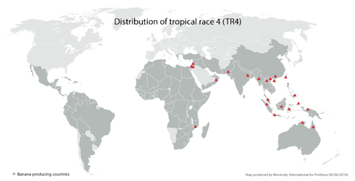 Cartina - distribuzione Tropical Race 4