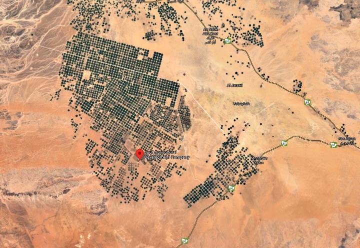 L'oliveto di Al Jouf Agricultural Development Company visto dal satellite