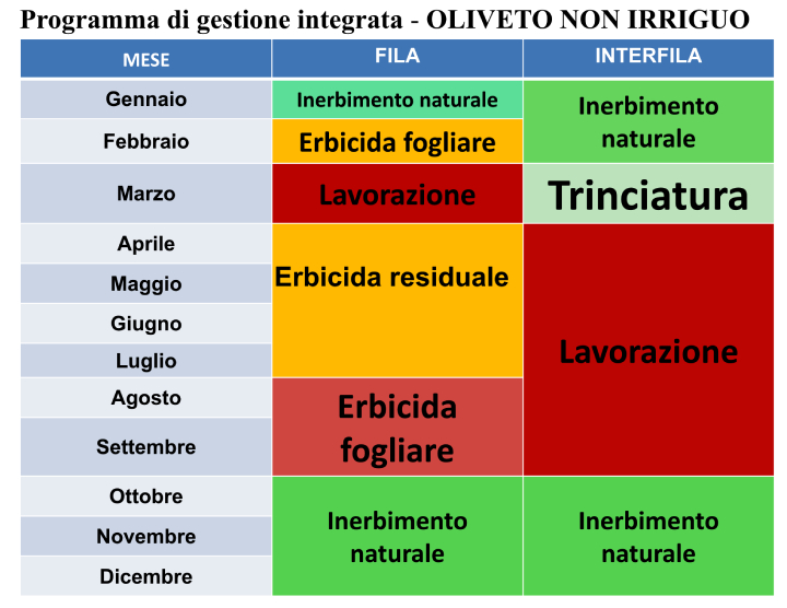 Programma di gestione integrata: oliveto non irriguo