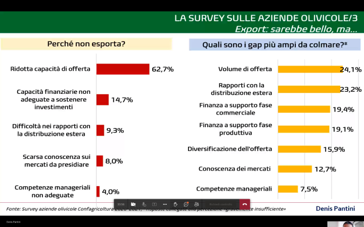 La survey sulle aziende olivicole
