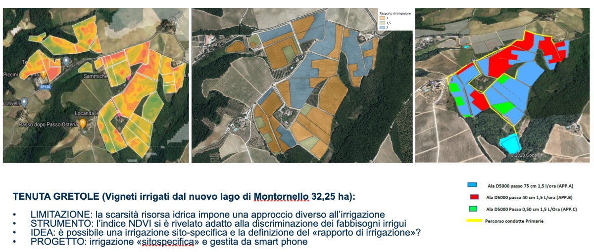 Limitazione del rame per la difesa delle colture - Info Agrifood