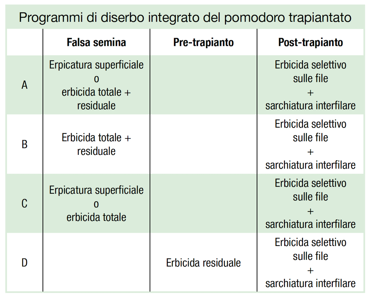 Diserbo del pomodoro e gestione integrata - Difesa e diserbo - AgroNotizie