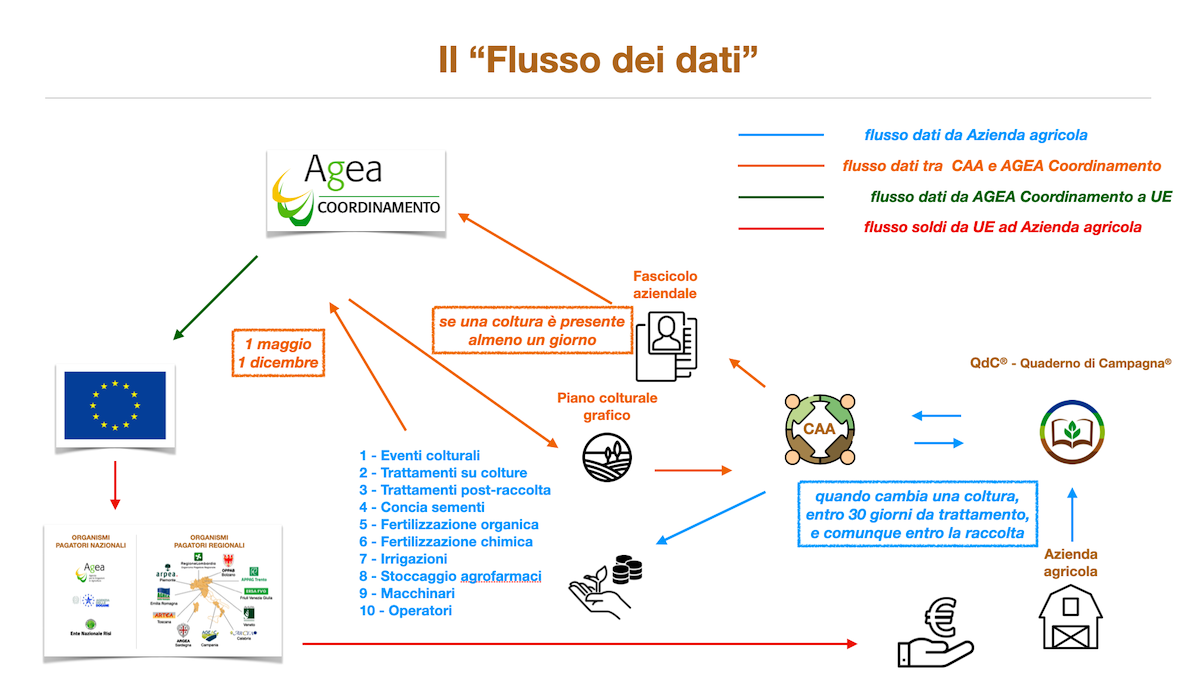 Poltiglie Manica, la nuova etichetta ministeriale - Difesa e diserbo -  AgroNotizie