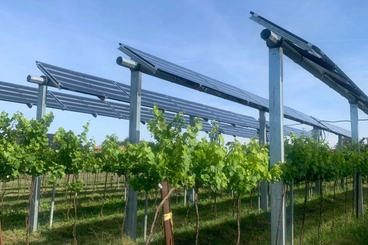 L'impianto occupa 600 metri quadrati, divisi tra seminativi e vigneto, e si distingue per l'assenza di cemento e l'adozione di sistemi di monitoraggio avanzati