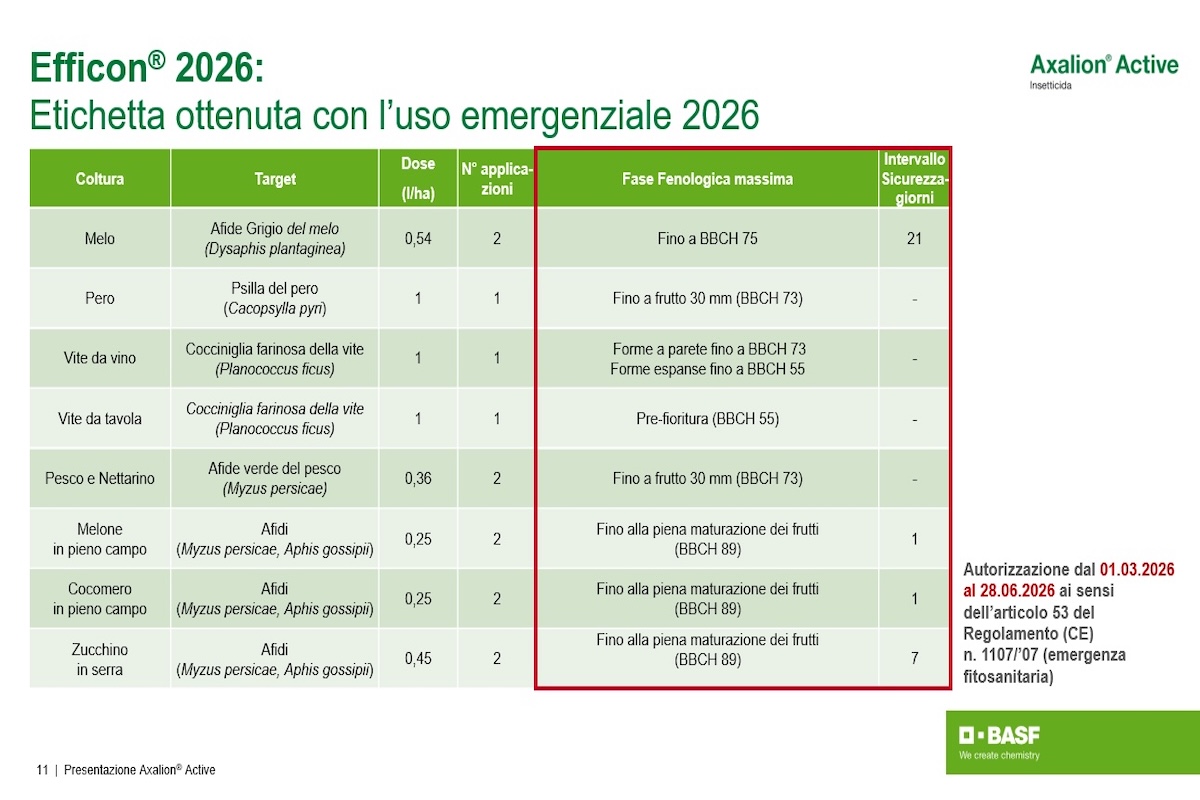 Efficon® 2026, il nuovo insetticida di BASF - News Fitogest