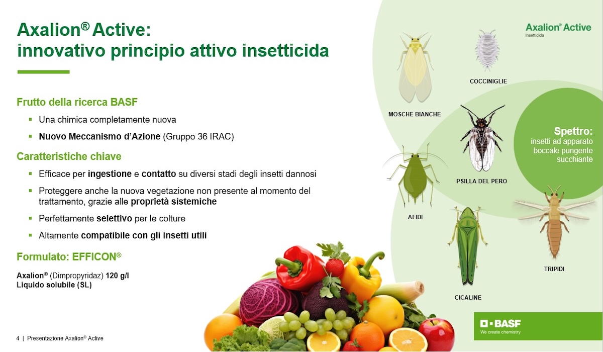 Efficon® 2026, il nuovo insetticida di BASF - News Fitogest