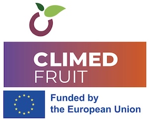 logo-progetto-climed-fruit.jpeg
