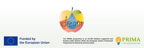 footer-progetto-dream-prima-frutticoltura-mediterranea-fonte-imageline-600x200.jpg