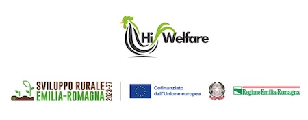Il progetto Hi-Welfare