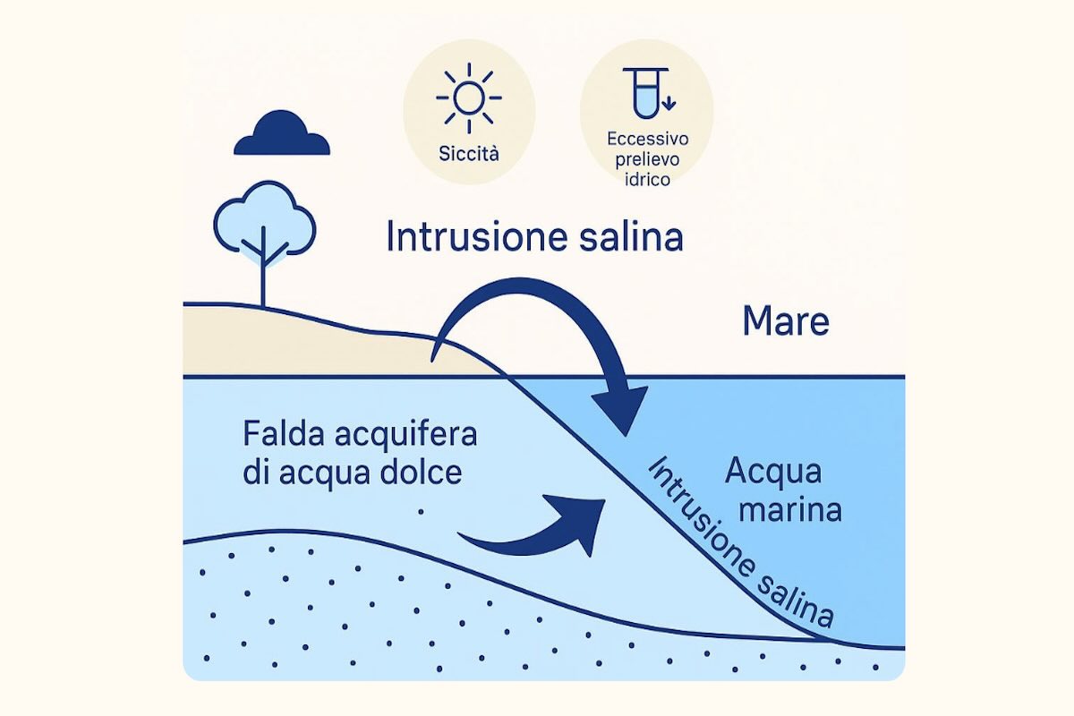 Formazione del cuneo salino