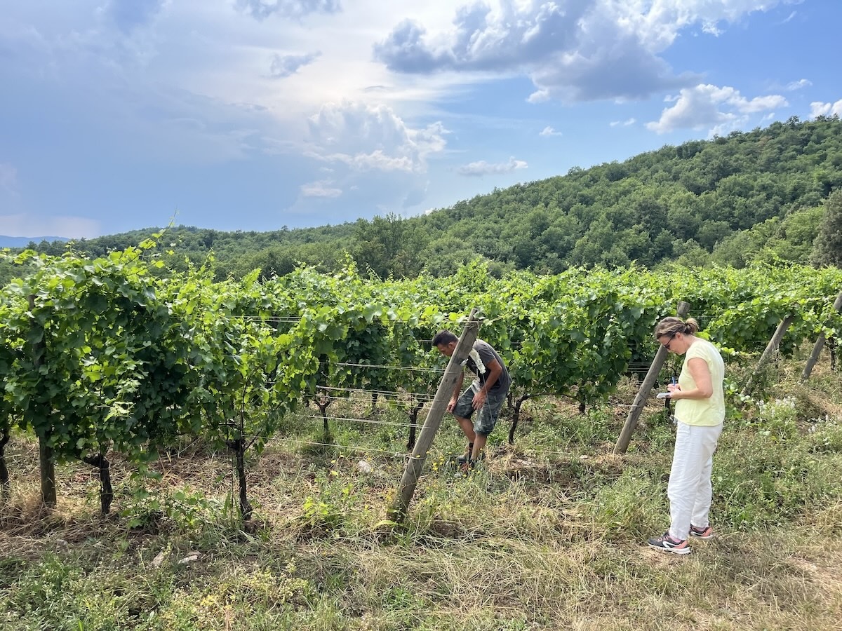 Durante l'estate 2025 si è svolto un ciclo di sopralluoghi tecnici in campo