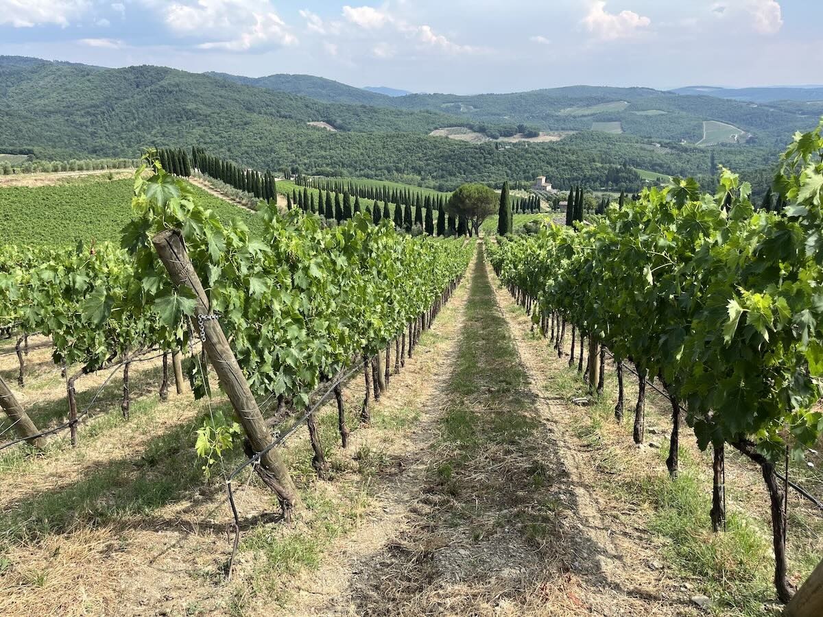 Il progetto ha sviluppato anche uno strumento digitale per il calcolo del carbonio stoccato nel suolo