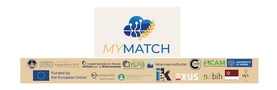 Il progetto MyMatch