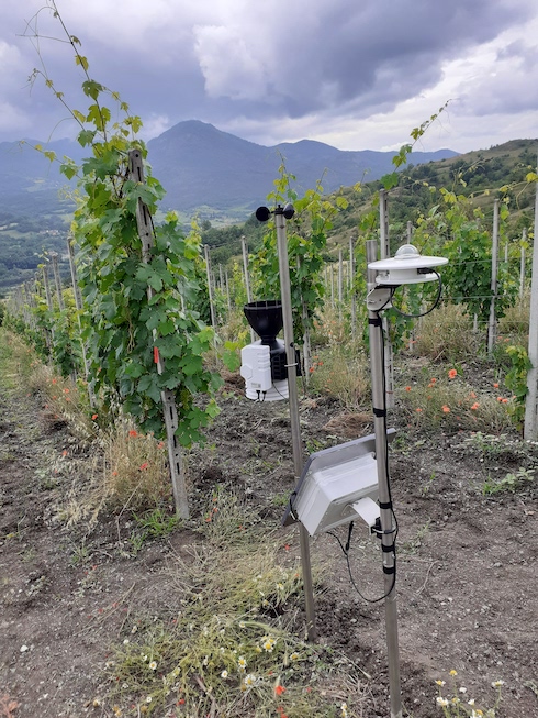 Stazione meteo Trk presso l'azienda vitivinicola I Salici di Gazzola Claudio, giugno 2020