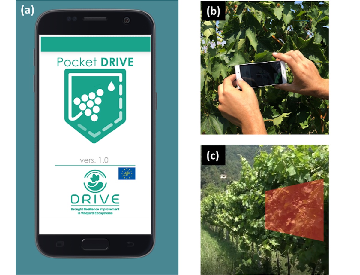 pocket-drive-progetto-speciale-app-acqua-vite-luglio-2023-fonte-unimi.jpg