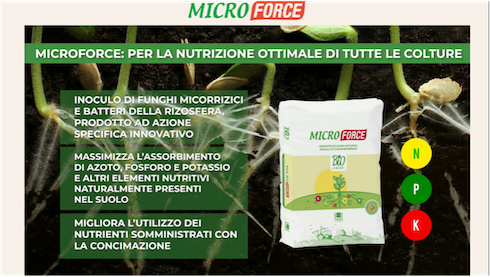 microforce-sacchetto-fonte-unimer.png