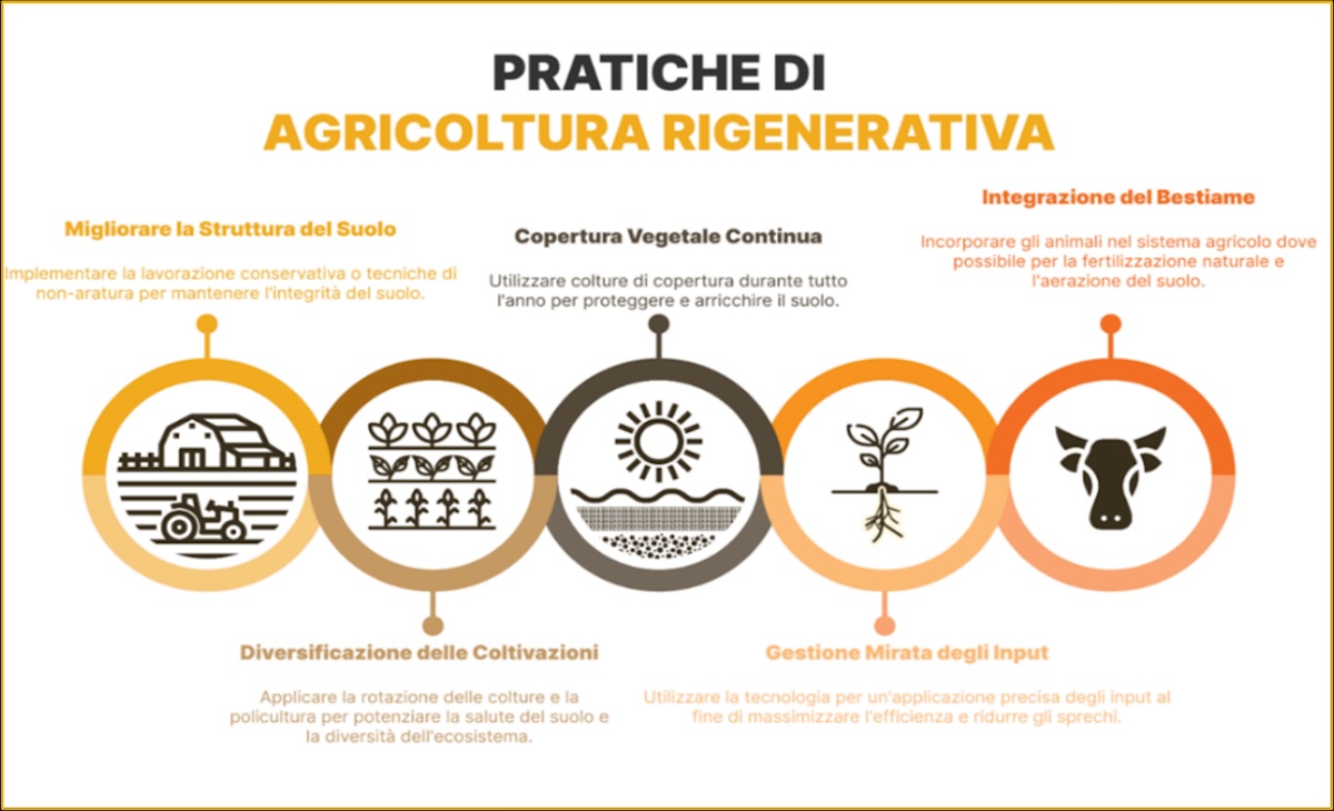 infografica-agricoltura-rigenerativa-fonte-unimer-1200x730.jpg