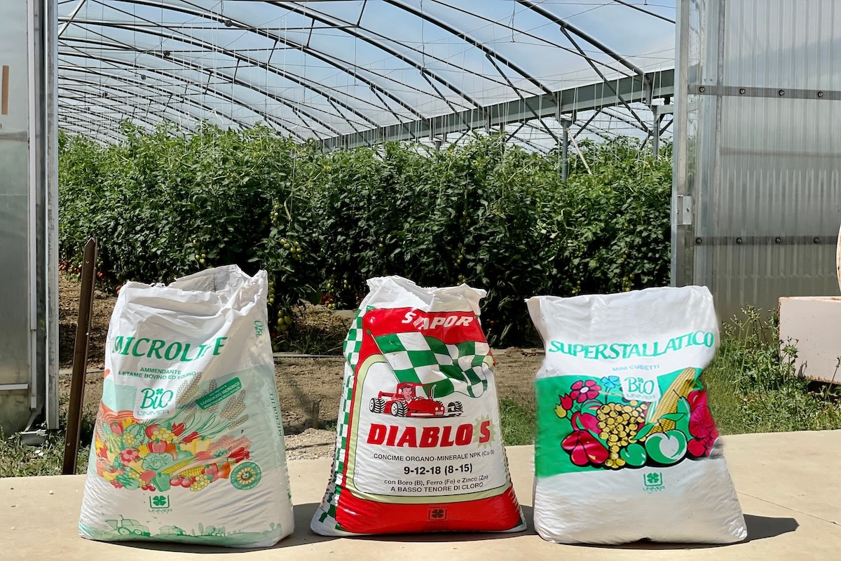 prodotti-pomodoro-concimi-fertilizzazine-fonte-unimer-redazionale-maggio2024-1200x800.jpg