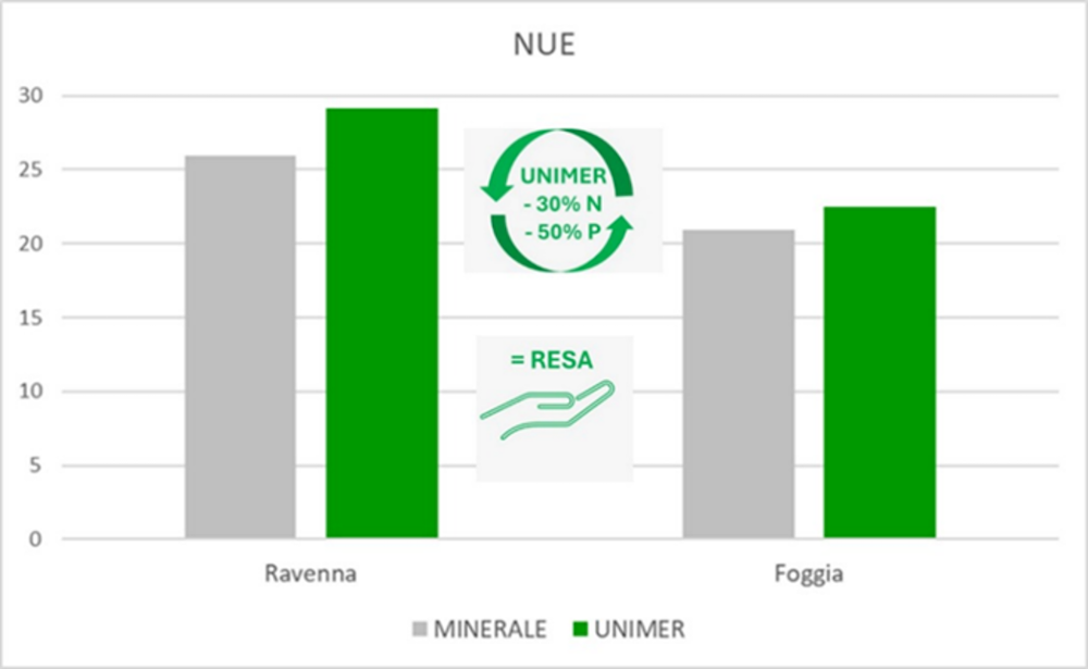 grafico-nue-gennaio-2025-fonte-unimer-1000x615.png