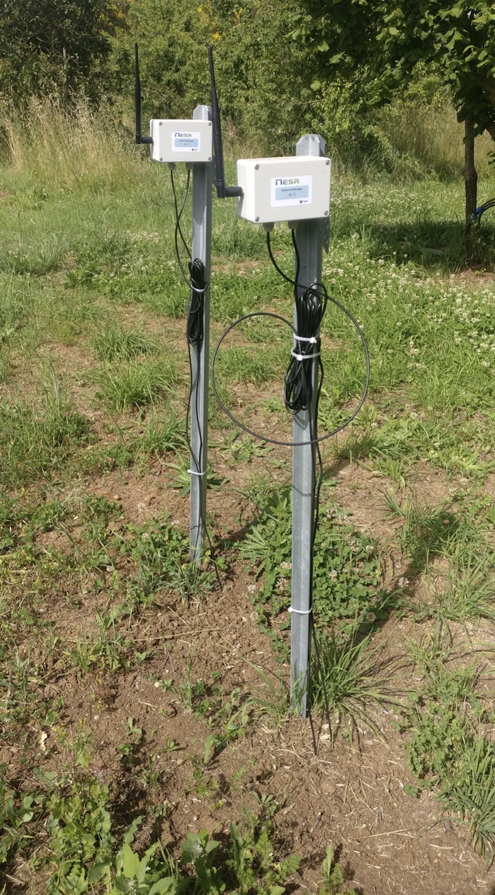 Posizionamento di due sensori di monitoraggio dell'umidità e della temperatura del suolo, rispettivamente a 20 e 40 centimetri di profondità, con acquisizione del dato in remoto