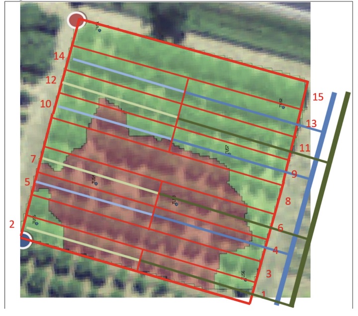 Schematizzazione dell'impianto di irrigazione e fertirrigazione realizzato nel corileto sperimentale a seguito della clusterizzazione del suolo in funzione delle sue caratteristiche di conducibilità elettrica