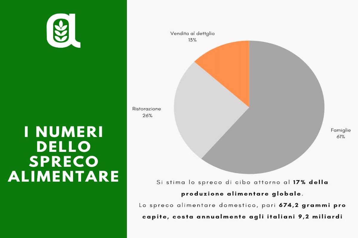 Distribuzione degli alimenti - Italia non profit