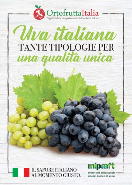 Campagna valorizzazione uva da tavola - Ortofrutta Italia