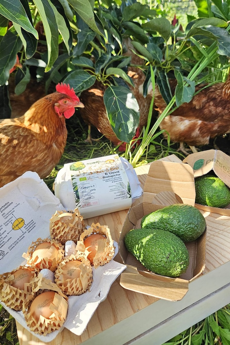 Uova e avocadi da agricoltura rigenerativa