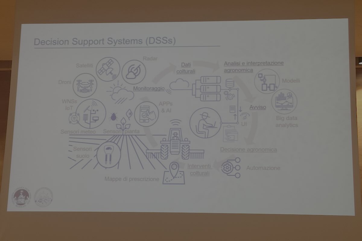 dss-schema-evento-riduzione-agrofarmaci-novembre-2024-presentazione-Rossi-universita-piacenza-fonte-agronotizie-1200x800.jpg