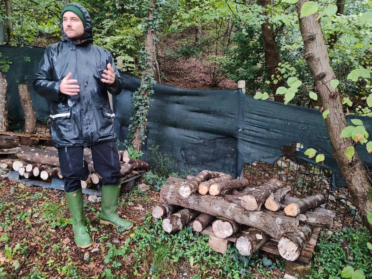 Funghicoltura a Radici Farm