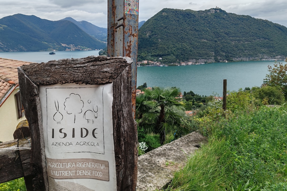 Iside Farm è un'azienda agricola rigenerativa