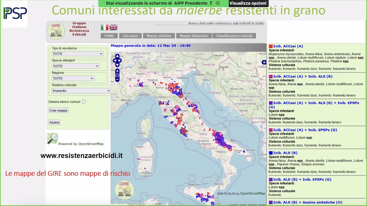 mappa-italia-resistenze-infestanti-grano-frumento-gennaio-2025-fonte-gire.jpg