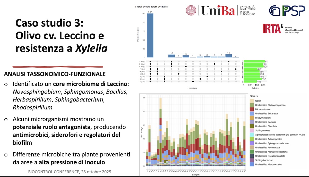 Ricerca dell'Università di Bari