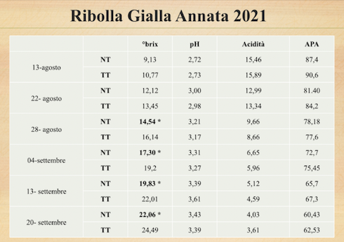 ribolla-gialla-varieta-vino-vite-prove-campo-2021-ilsa-biostimolanti-crea-aprile-2022-fonte-crea.png