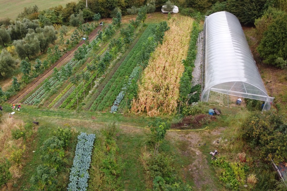 sistema-agroforestale-agricoltura-rigenerativa-policolture-azienda-iside-fonte-Merel-Gerritse-1200x800.jpg