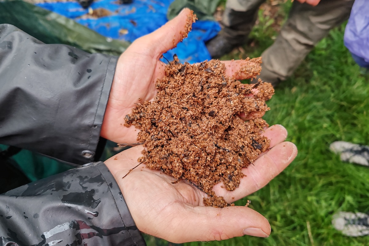 Il teku cana è un fertilizzante naturale