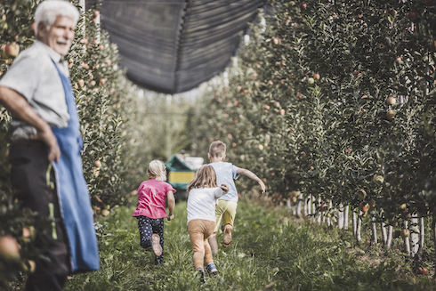 La coltivazione delle mele è per tradizione nelle mani di piccole aziende agricole a conduzione familiare