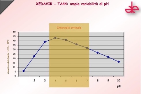 2-xedavir-t44-variabile-ph-fonte-xeda.jpg
