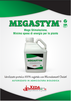 megastym-fonte-xeda.png