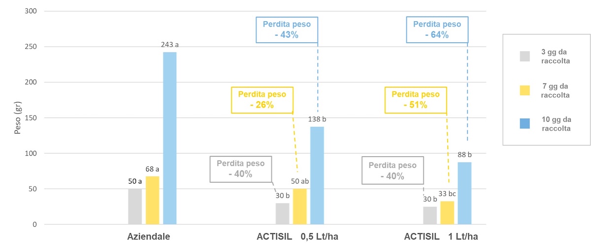 grafico-3-fonte-yara-1200x505.jpg