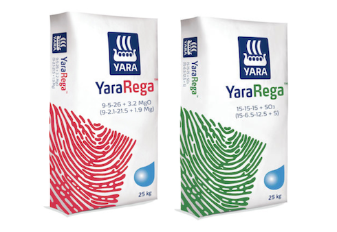 yararega-green-red-fonte-yara.png