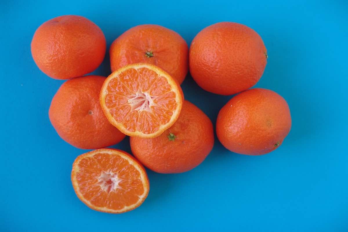 In foto, clementine apirene ottenute in assenza di fecondazione incrociata