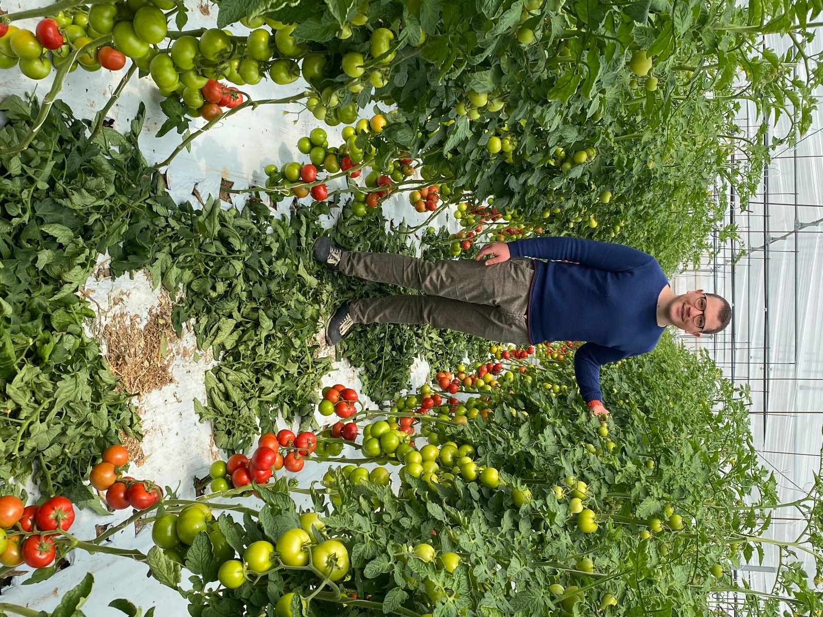 Emanuele Rizzo si affida a QdC per coltivare i pomodori della sua azienda agricola