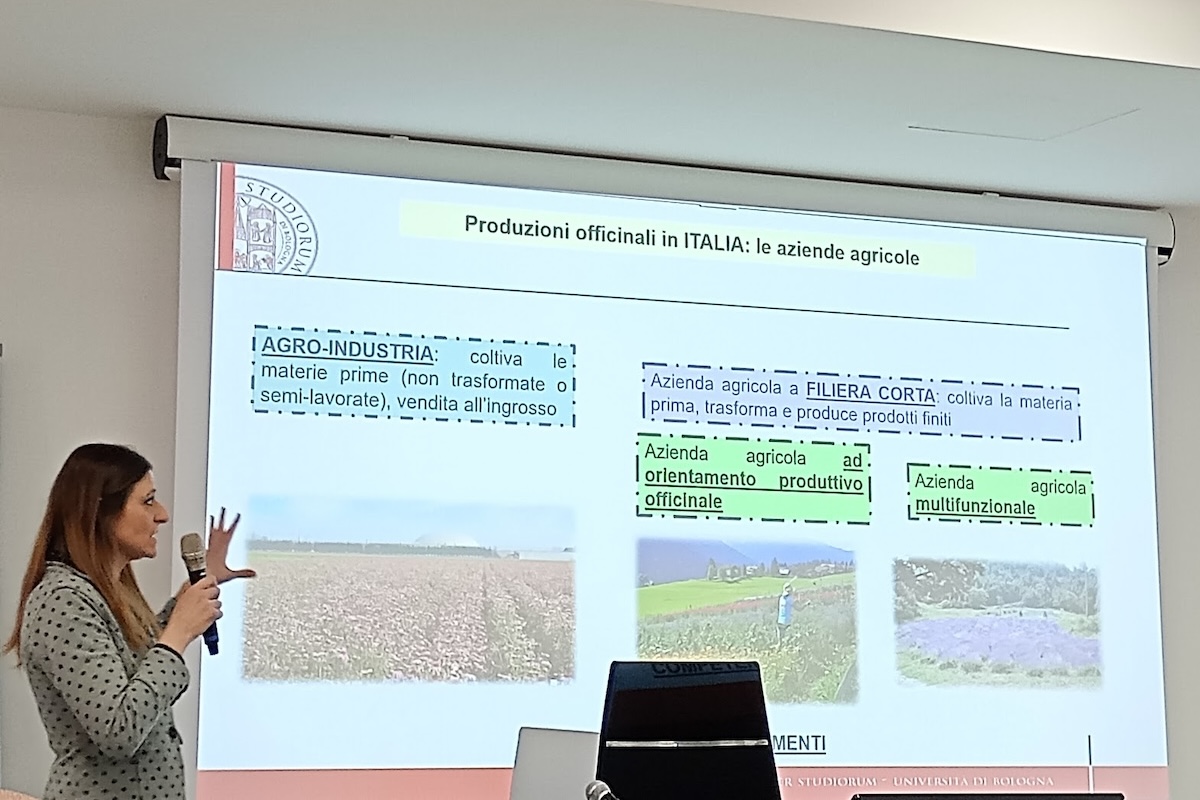 Ilaria Marotti spiega i modelli di coltivazione di piante officinali nell'azienda agricola