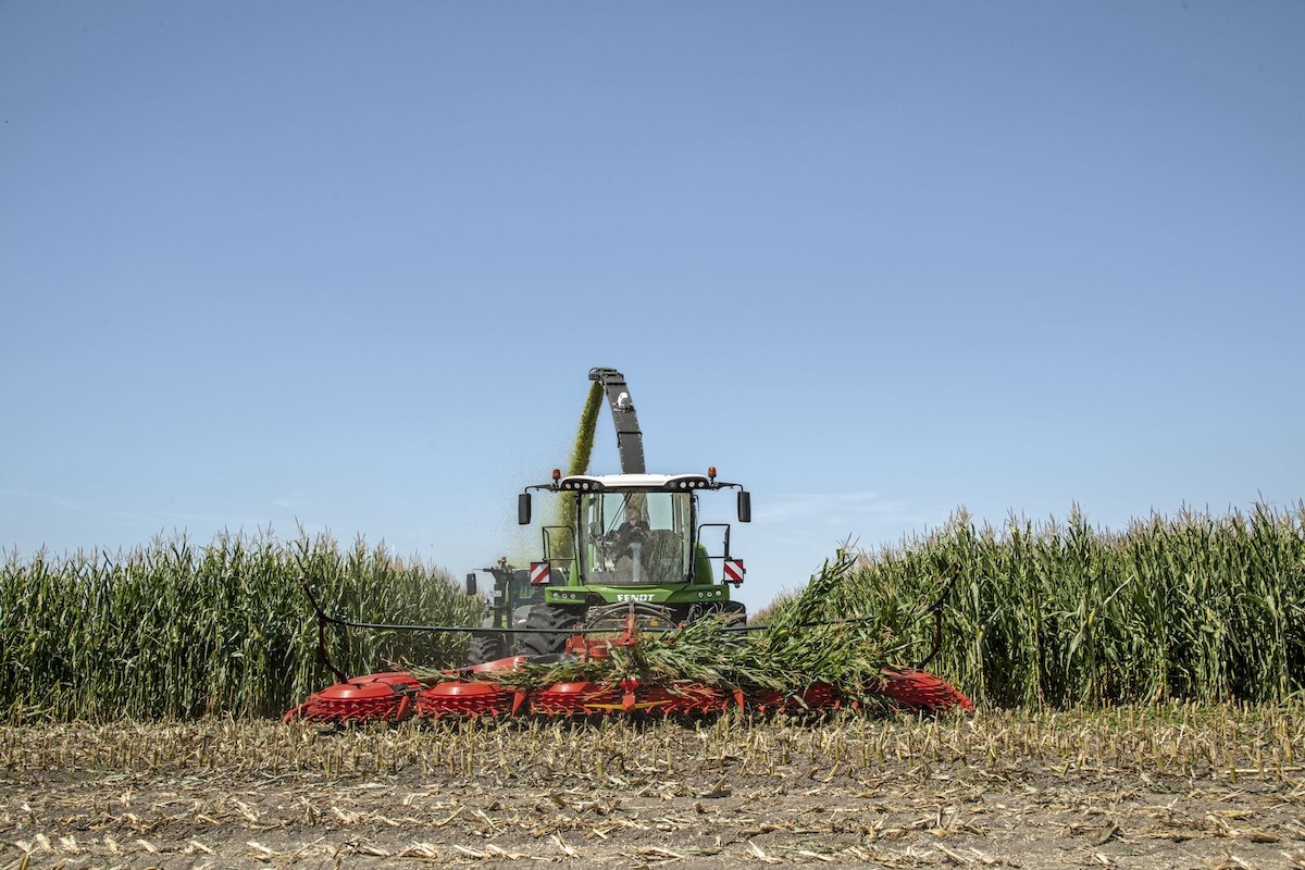 Sulle Fendt Katana, il sistema ForageQualityCam permette di modificare il settaggio del rompigranella in base al valore CSPS rilevato