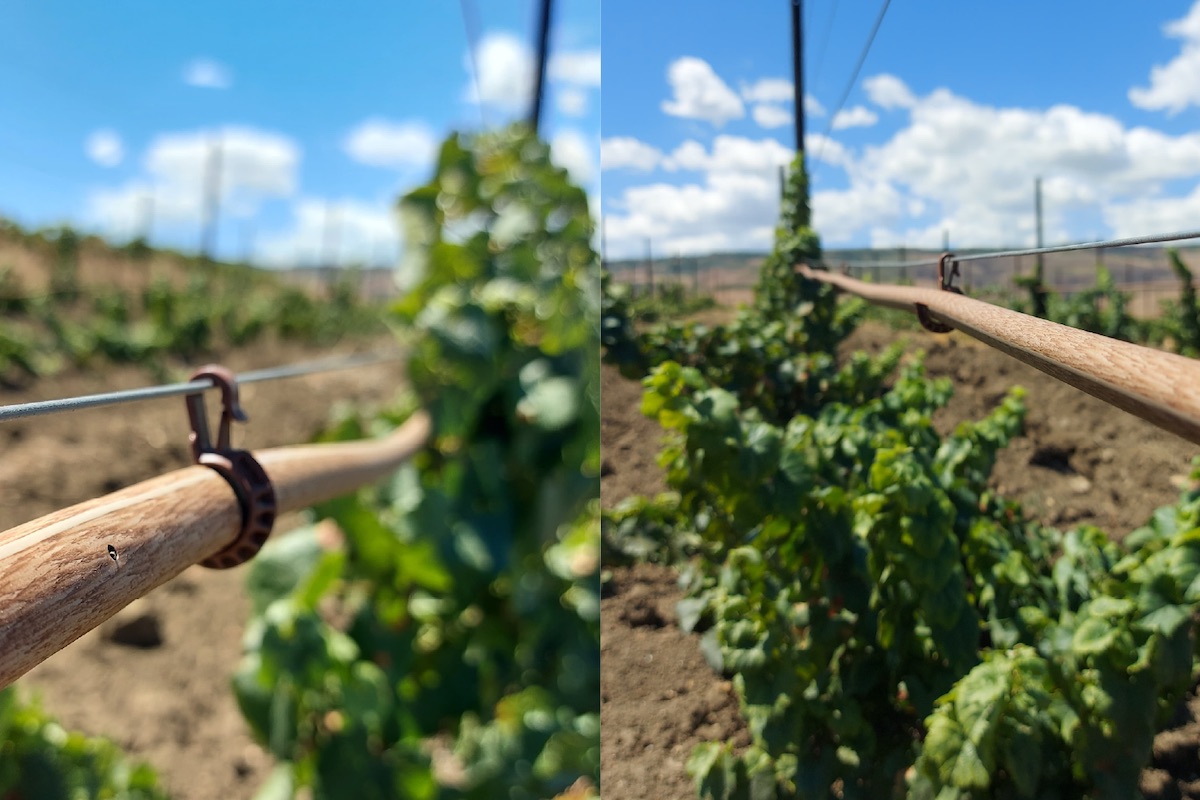 Frutto di un brevetto Irritec, la texture Camo garantisce l'integrazione cromatica del sistema d'irrigazione con l'ambiente