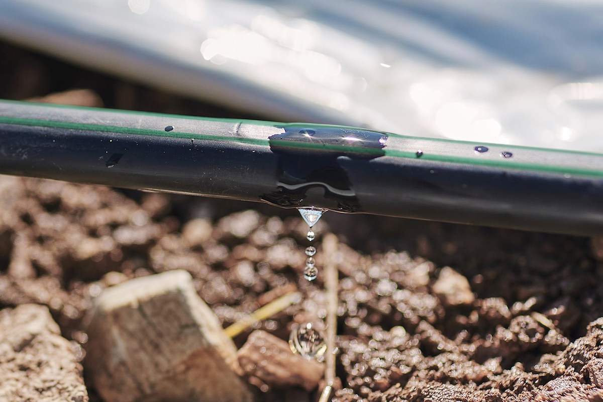 L'irrigazione a goccia è la soluzione migliore per quanto riguarda il risparmio idrico e la resa colturale dei vigneti 