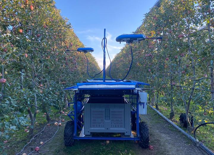 Sistema Automated Fruit Picking di Kubota e Tevel